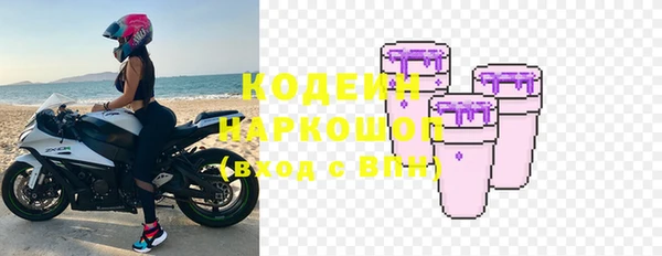 дурь Гусев