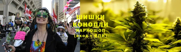 дурь Гусев